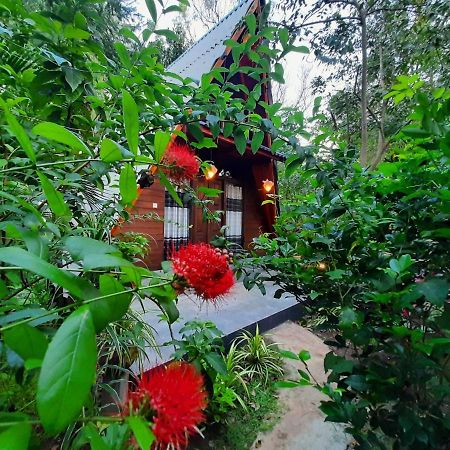 The Otunna Guest House Sigiriya Buitenkant foto